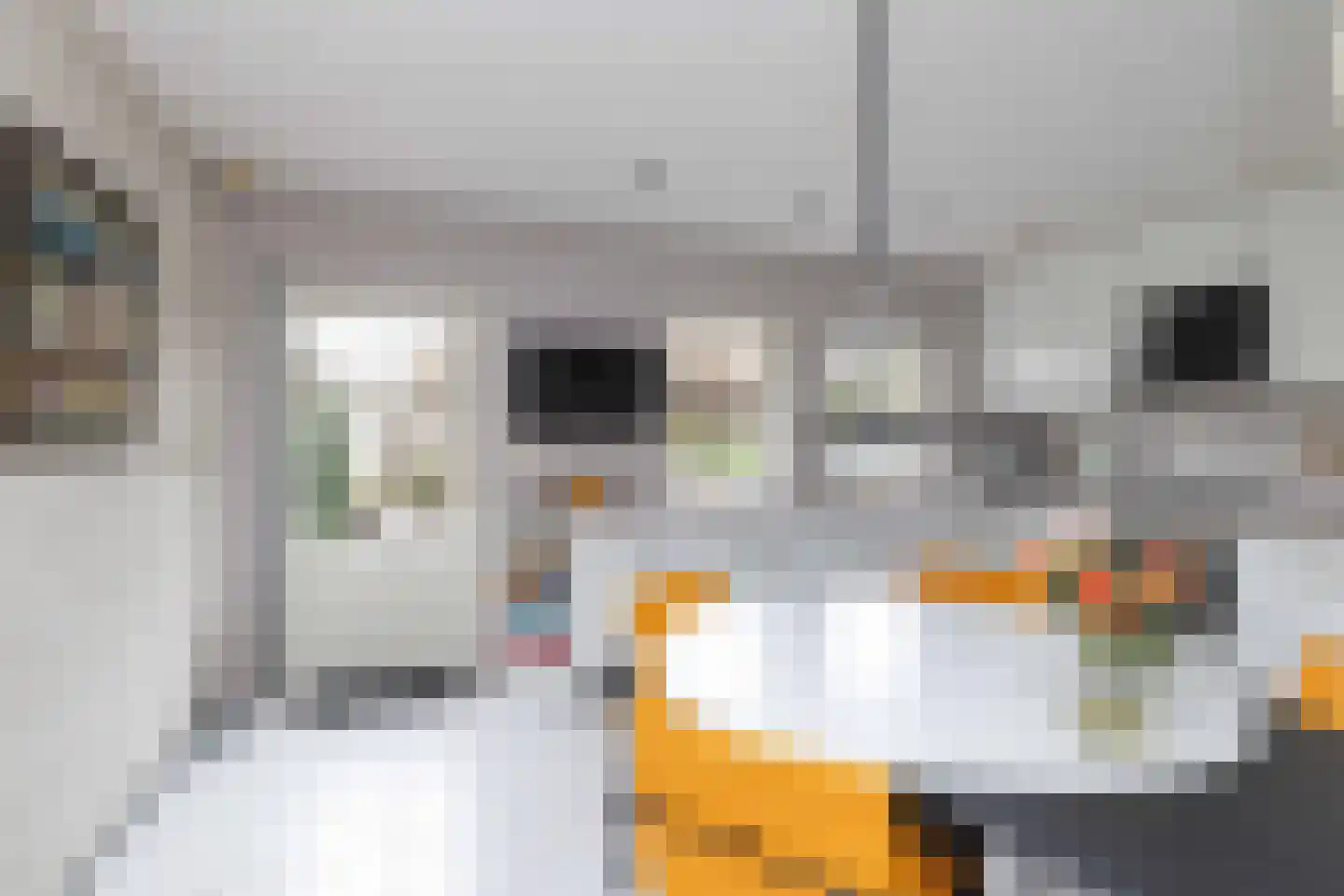 Vuile Riete 40 Linde thumbnail 26