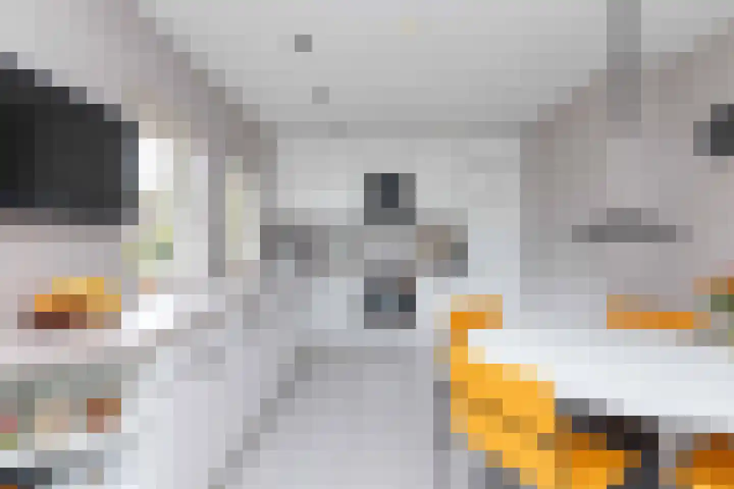 Vuile Riete 40 Linde thumbnail 27