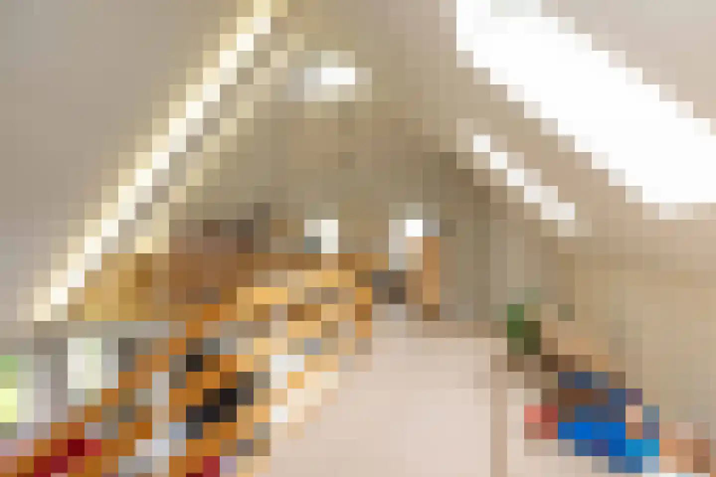 Vuile Riete 40 Linde thumbnail 30
