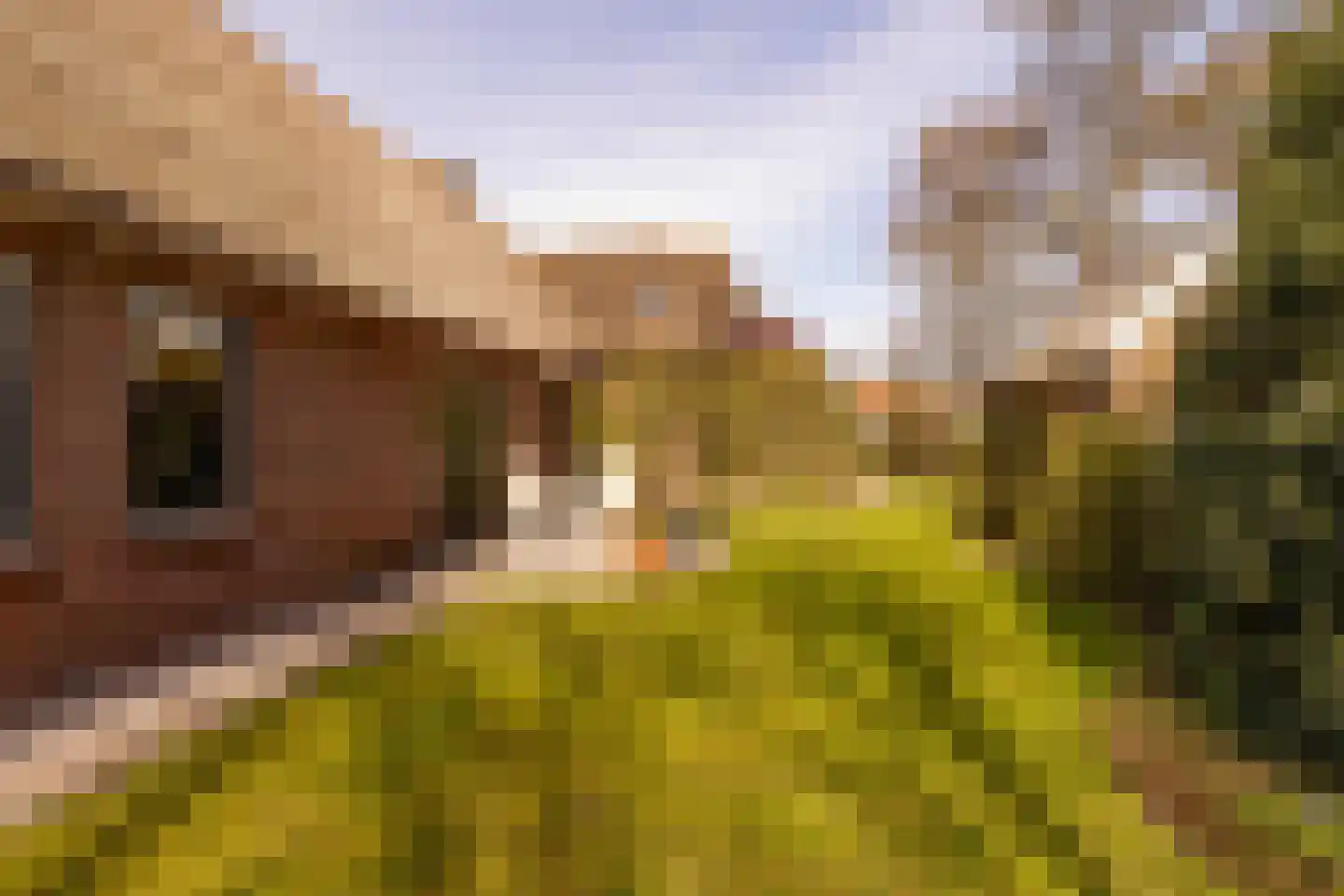 Vuile Riete 40 Linde thumbnail 85