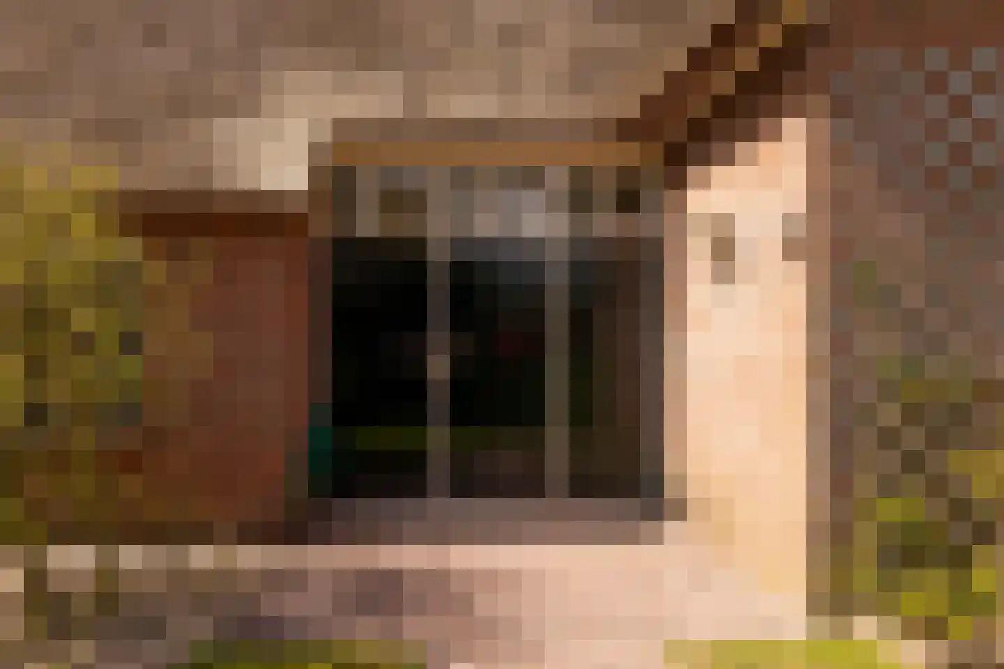 Vuile Riete 40 Linde thumbnail 88