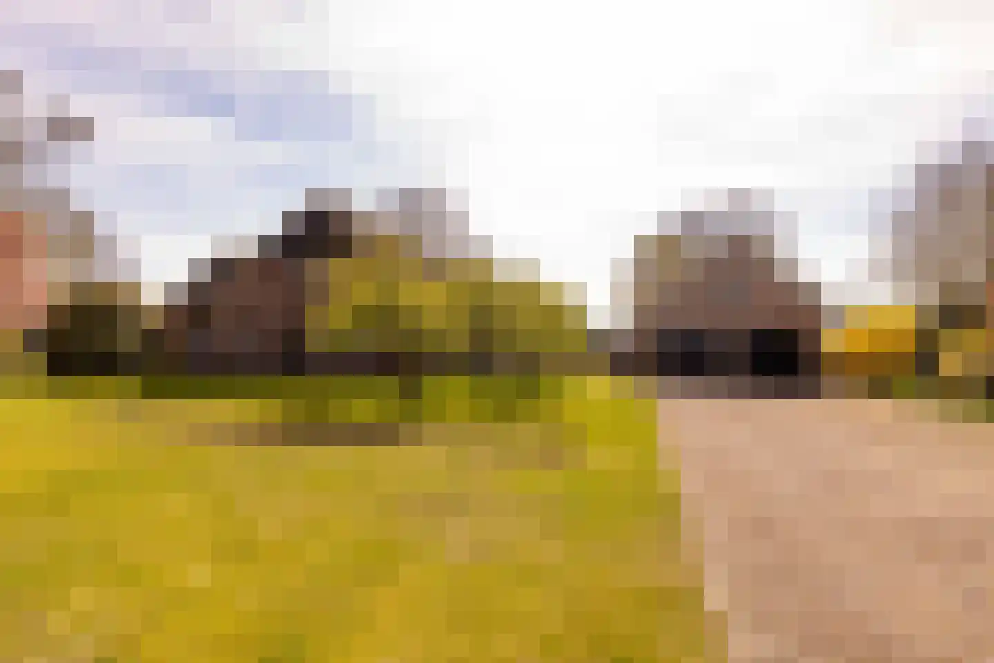 Vuile Riete 40 Linde thumbnail 97