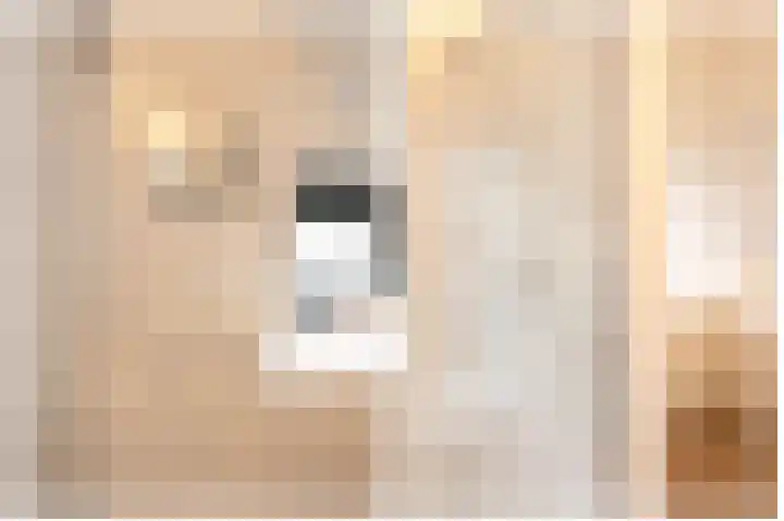 Vuilstraat 2 F Goes thumbnail 21