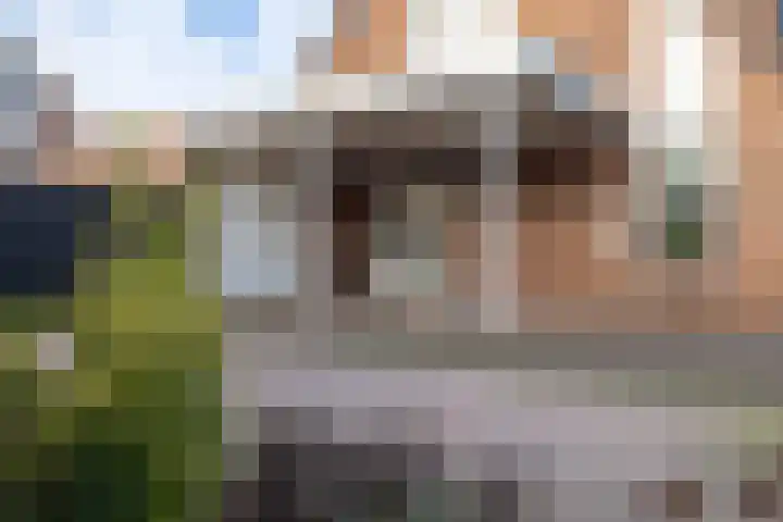 Vulcaanstraat 29 C Terborg thumbnail 17