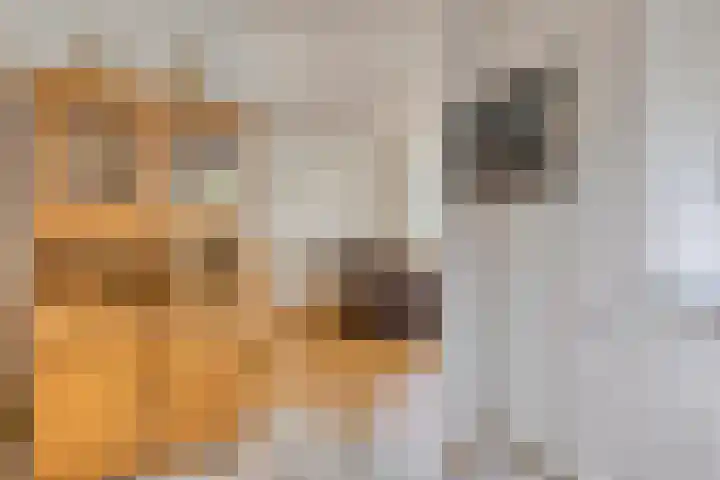 Vulcaanstraat 32 Terborg thumbnail 10