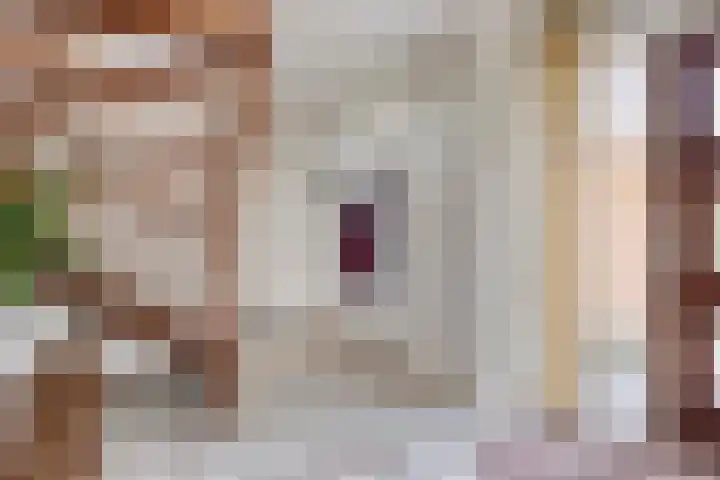 Vulcaanstraat 32 Terborg thumbnail 21