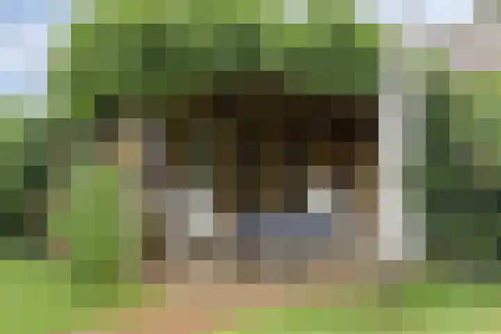 Vulcaanstraat 32 Terborg thumbnail 31