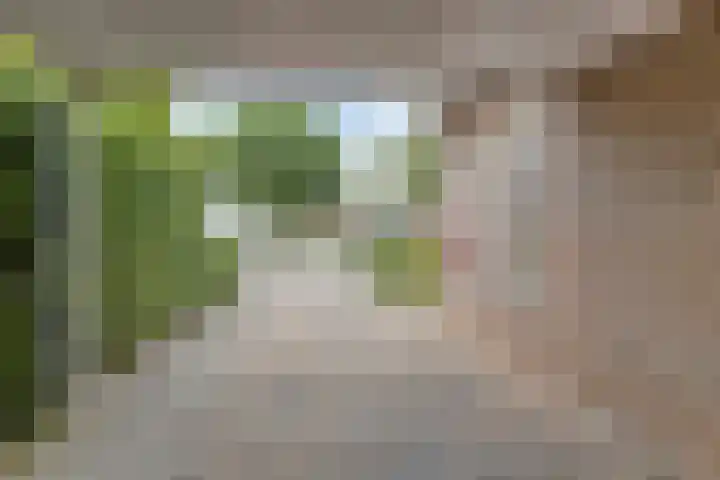 Vulcaanstraat 32 Terborg thumbnail 37