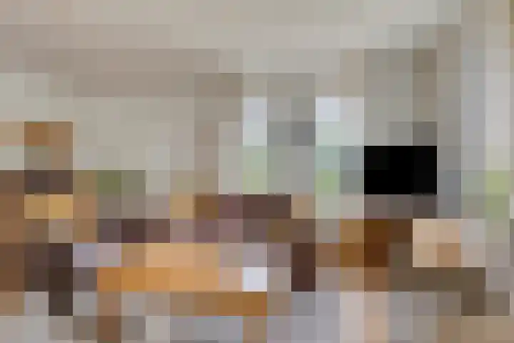 Vulcaanstraat 32 Terborg thumbnail 7