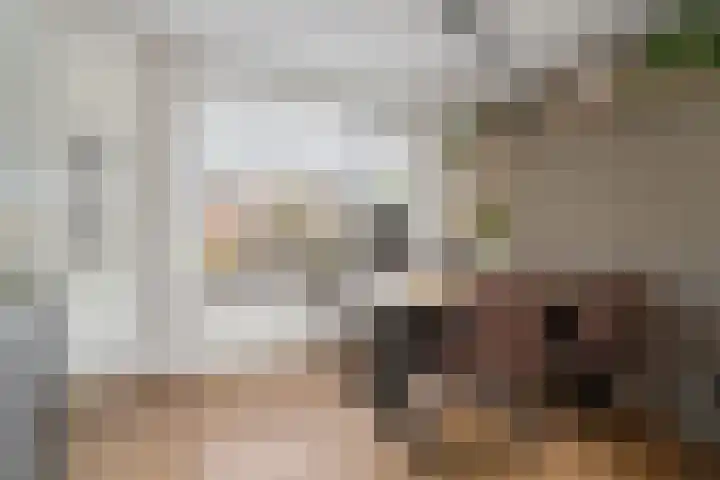 Vulcaanstraat 62 Terborg thumbnail 13
