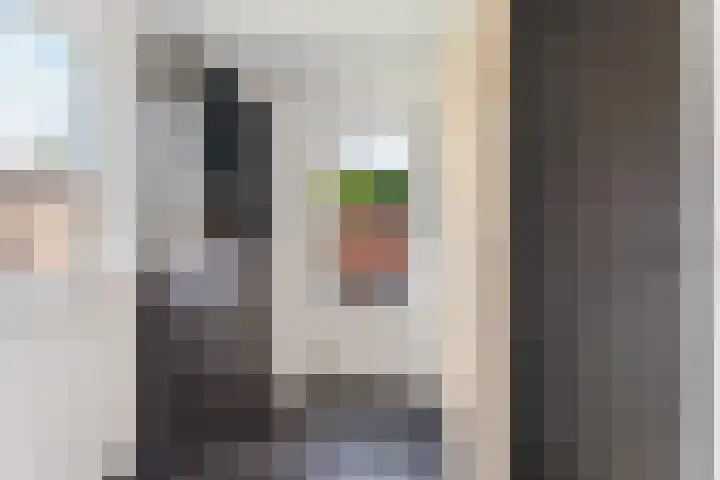 Vulcaanstraat 62 Terborg thumbnail 15