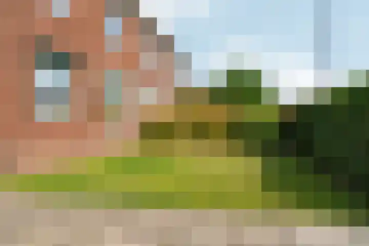 Vulcaanstraat 62 Terborg thumbnail 26