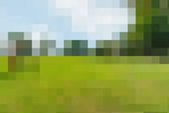 Vulcaanstraat 62 Terborg thumbnail 44