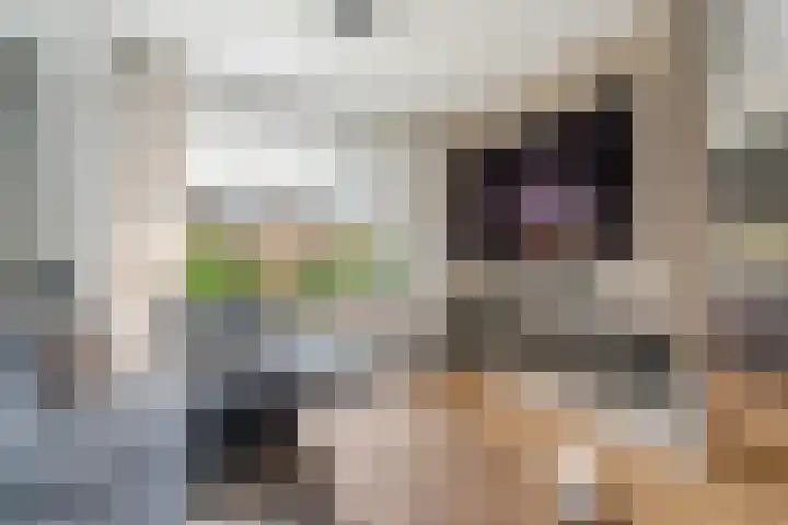 Vulcaanstraat 62 Terborg thumbnail 5