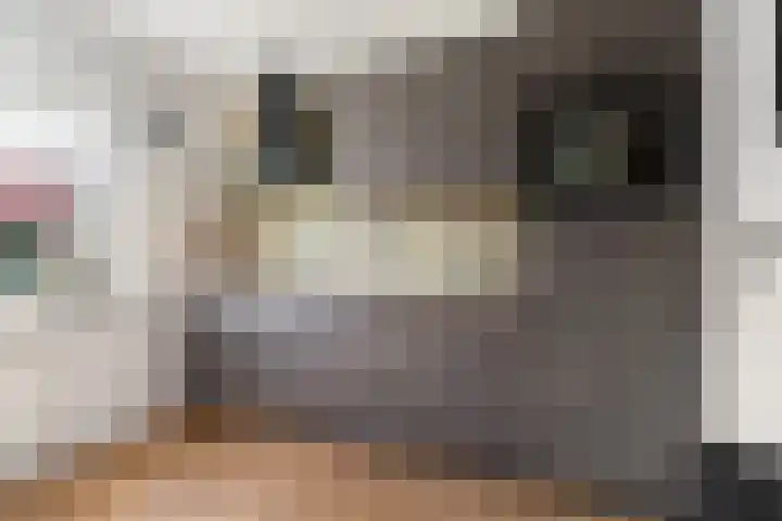 Vulcaanstraat 62 Terborg thumbnail 6