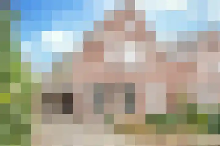 Vullinghspark 48 Heeze thumbnail 5