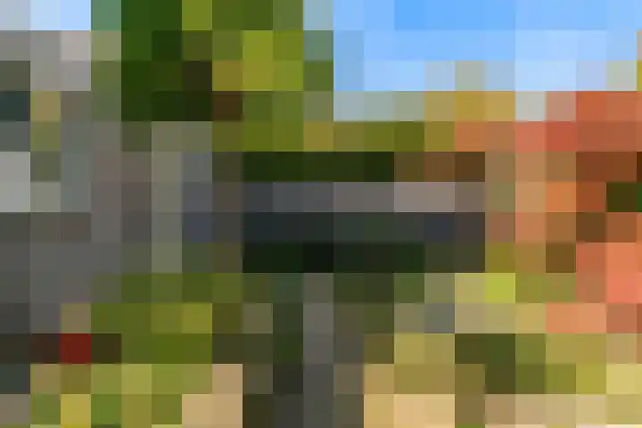 Vuurbaak 16 Limmen thumbnail 31