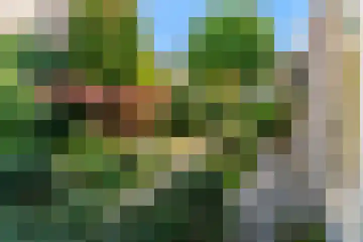 Vuurbaak 16 Limmen thumbnail 32
