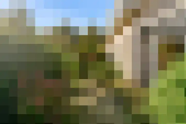 Vuurbaak 16 Limmen thumbnail 35