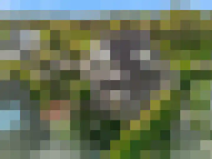 Vuurbaak 16 Limmen thumbnail 37