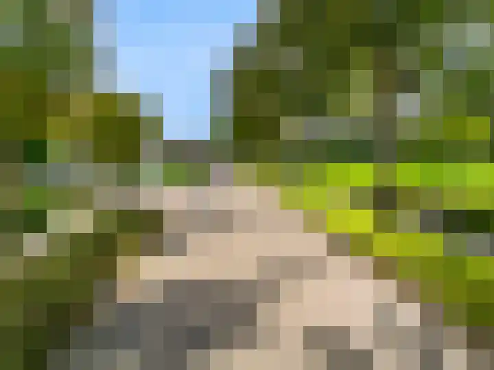 Vuurbaak 16 Limmen thumbnail 40
