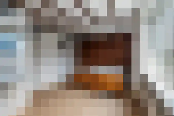 Vuurdoornlaan 15 Pijnacker thumbnail 12