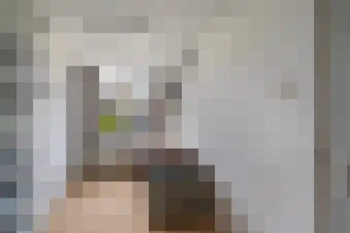 Vuurdoornlaan 15 Pijnacker thumbnail 14