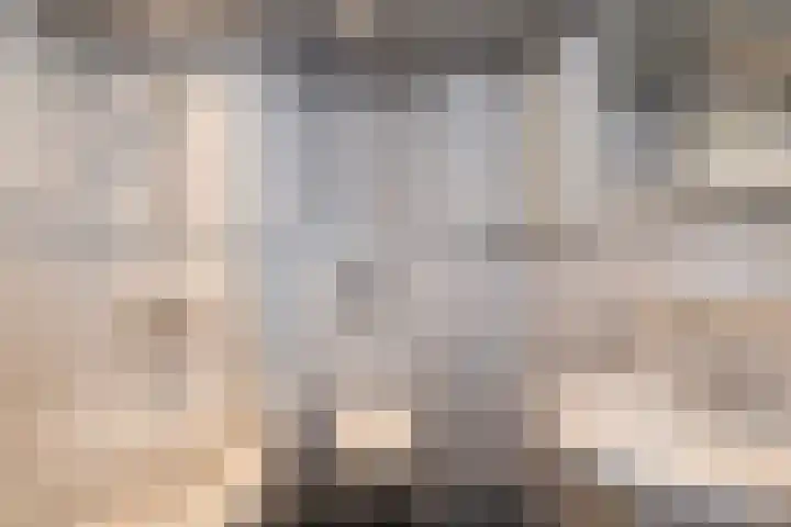 Vuurdoornlaan 15 Pijnacker thumbnail 15