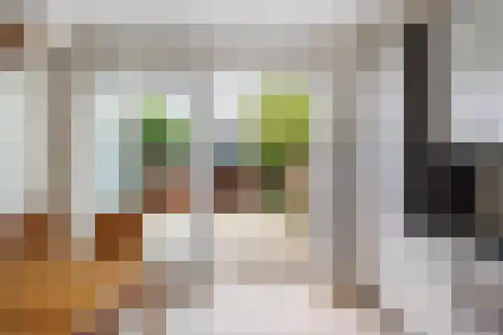Vuurdoornlaan 15 Pijnacker thumbnail 6