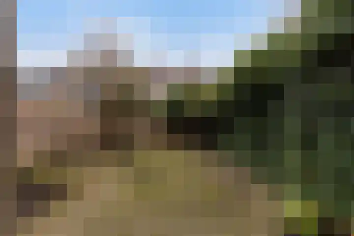 Vuurdoornlaan 17 Pijnacker thumbnail 12