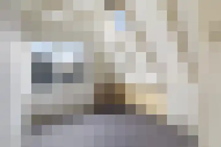 Vuurdoornlaan 17 Pijnacker thumbnail 24