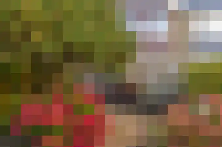 Vuurdoornlaan 5 Pijnacker thumbnail 16