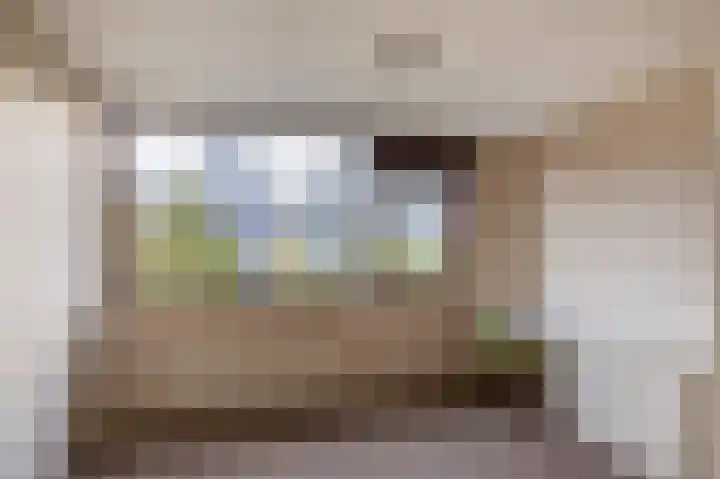 Vuurdoornlaan 5 Pijnacker thumbnail 23