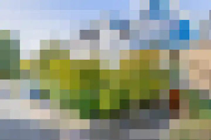 Vuurdoornlaan 5 Pijnacker thumbnail 28