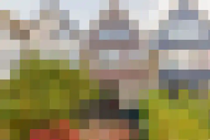 Vuurdoornlaan 5 Pijnacker thumbnail 4