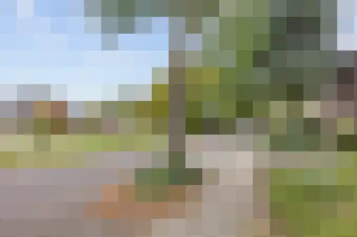 Vuurdoornstraat 4 Echt thumbnail 6