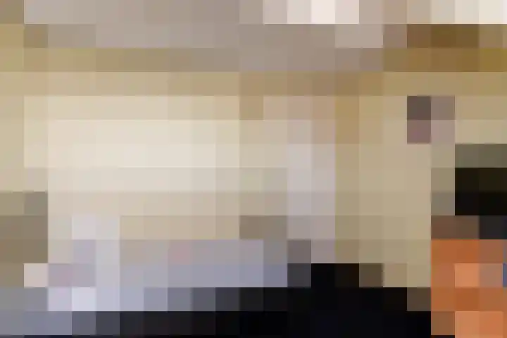 Vuurijzer 21 Uden thumbnail 41