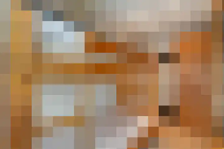 Vuurijzer 21 Uden thumbnail 43