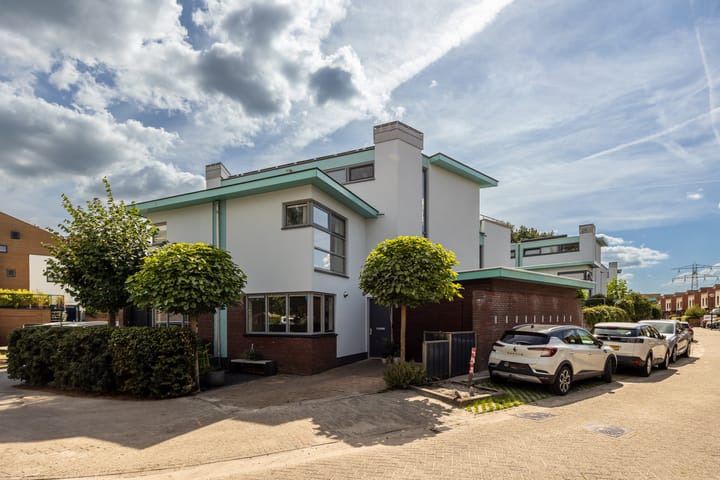 Vuursalamander 3 in Amersfoort foto