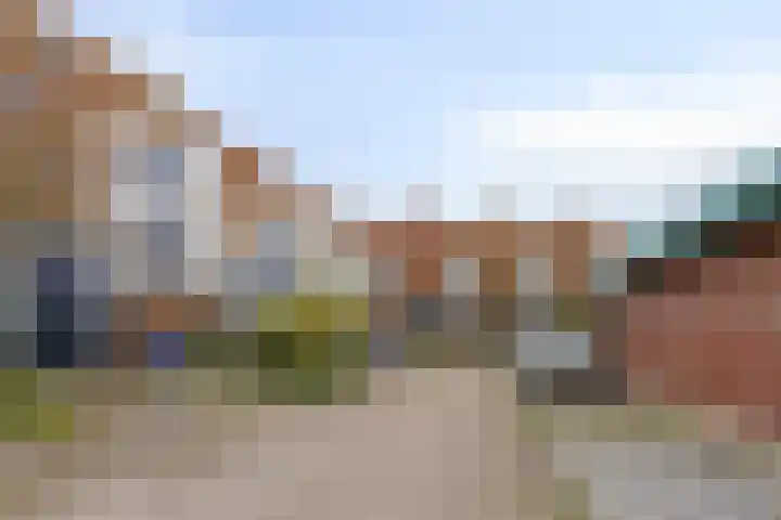 Vuursalamander 80 Amersfoort thumbnail 29