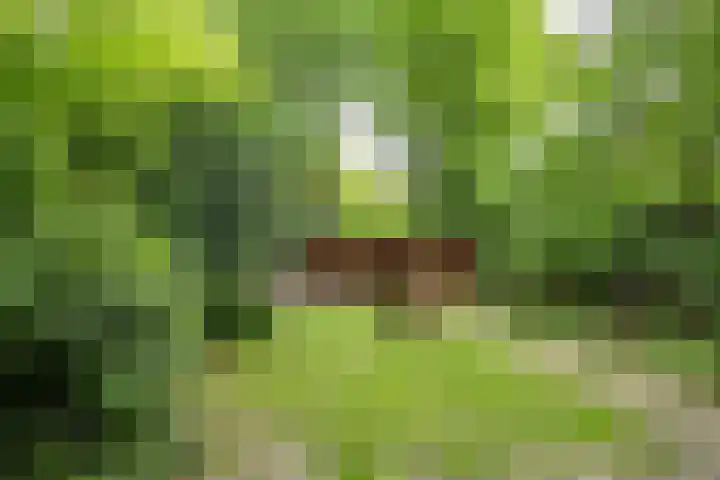 Vuursche Dreef 8 Hollandsche Rading thumbnail 27