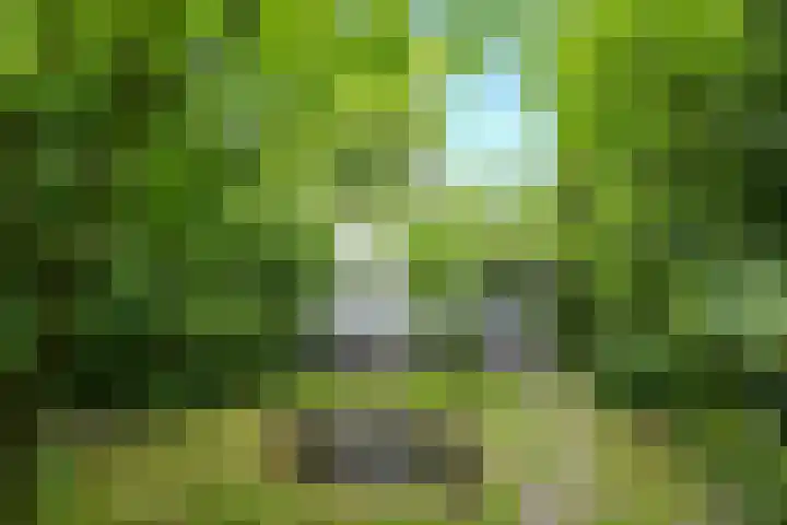 Vuursche Dreef 8 Hollandsche Rading thumbnail 30