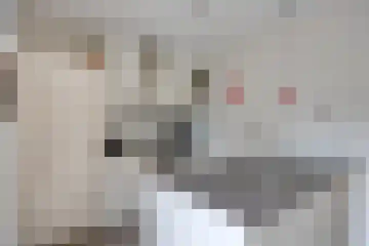 Vuursteen 17 Eindhoven thumbnail 11