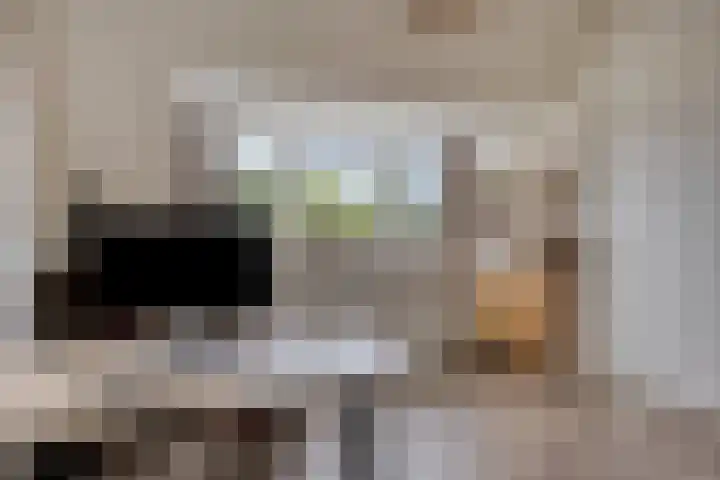 Vuursteen 17 Eindhoven thumbnail 23