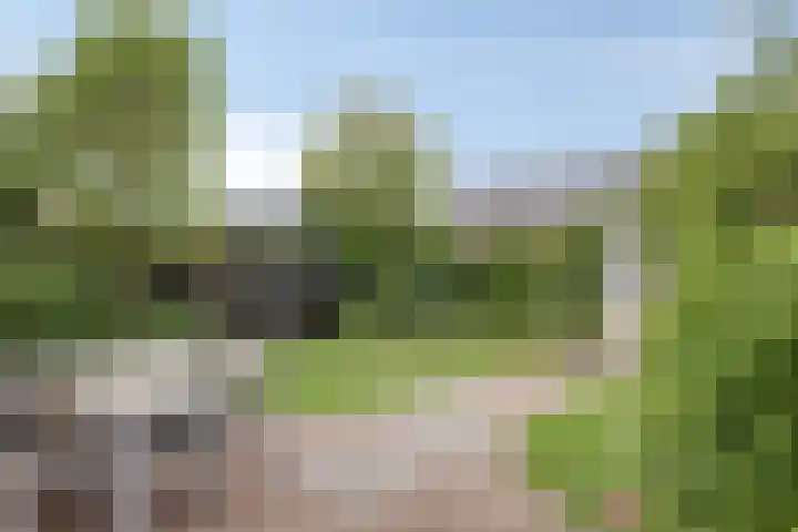 Vuursteen 17 Eindhoven thumbnail 27