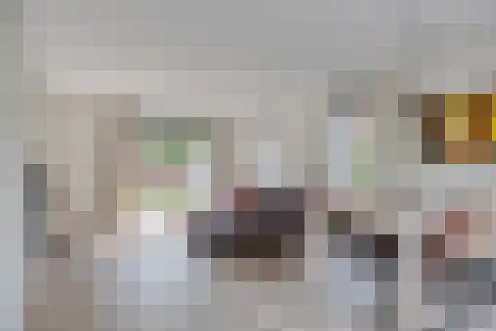 Vuursteen 17 Eindhoven thumbnail 8