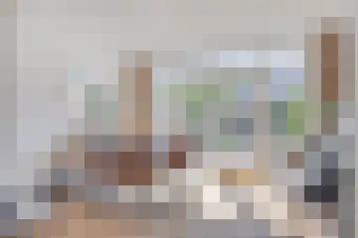 Vuurvlinder 40 Breda thumbnail 13