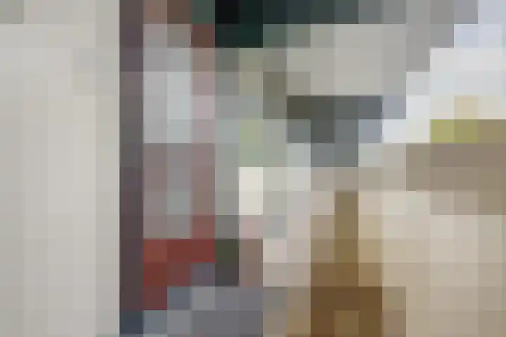 Vuurvlinder 40 Breda thumbnail 14