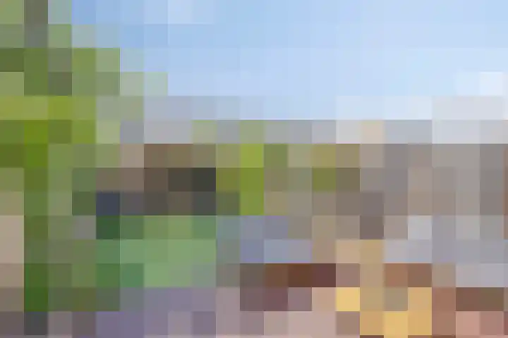 Vuurvlinder 40 Breda thumbnail 18