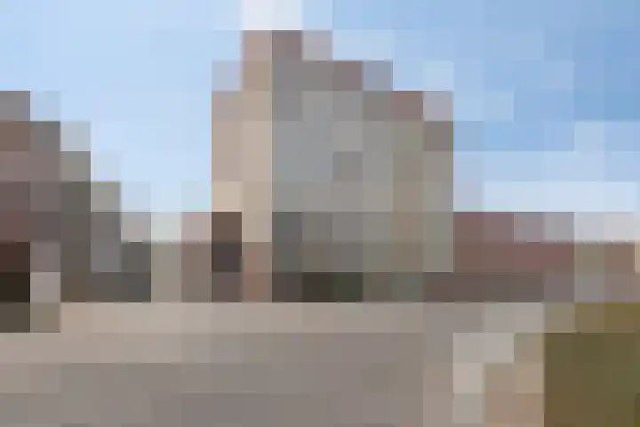 Vuurvlinder 40 Breda thumbnail 21